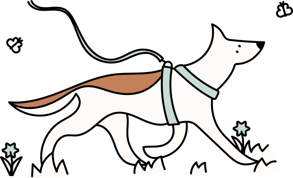 faq-the-barkmont-dog-daycare-and-hotel